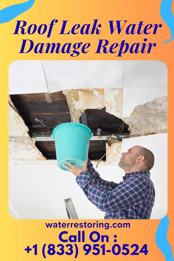 Roof Leak Water Damage Repair in Westervelt, IL