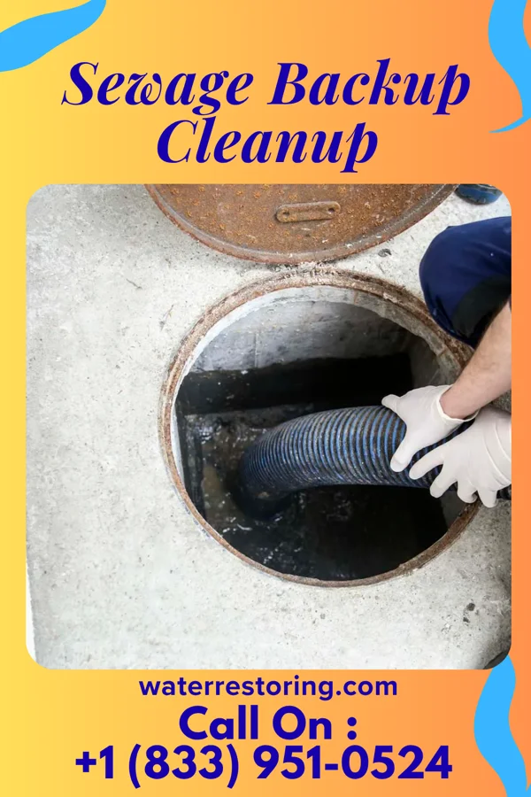 Sewage Backup Cleanup in Westervelt, IL