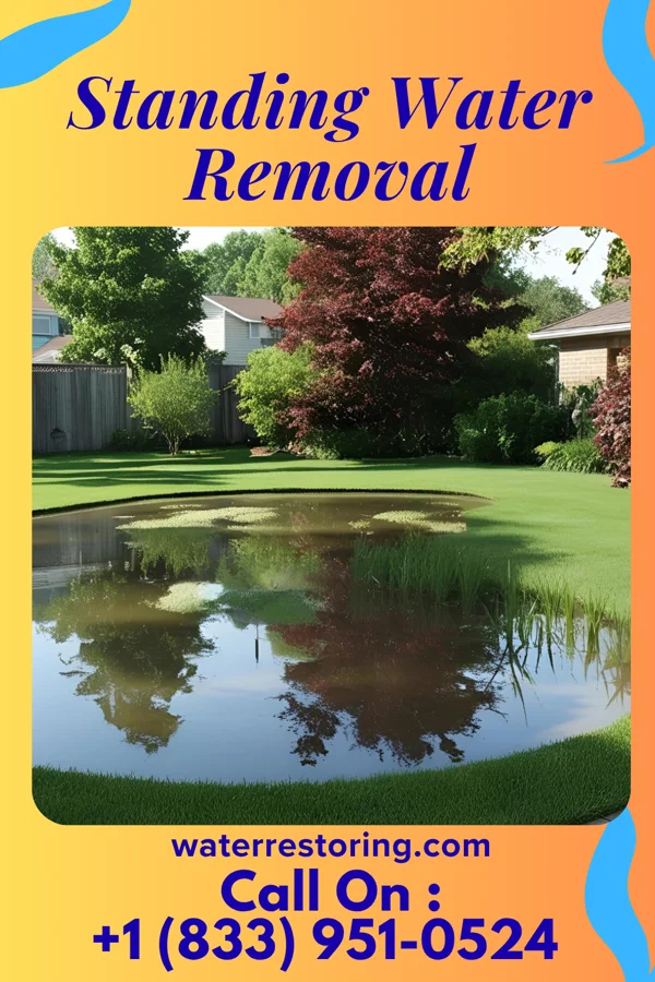 Standing Water Removal in Westervelt, IL